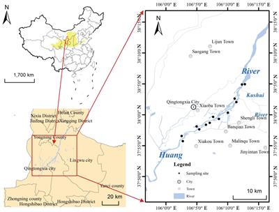 Effects of plant nutrient acquisition strategies on biomass allocation patterns in wetlands along successional sequences in the semi-arid upper Yellow River basin